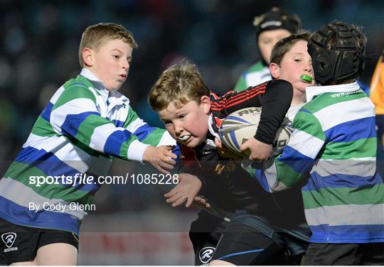 Bank of Ireland's Half-Time Mini Games at Leinster v Ulster - Guinness PRO12 Round 8