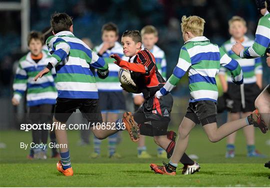 Bank of Ireland's Half-Time Mini Games at Leinster v Ulster - Guinness PRO12 Round 8