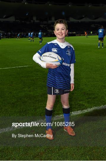 Mascots at Leinster v Ulster - Guinness PRO12 Round 8