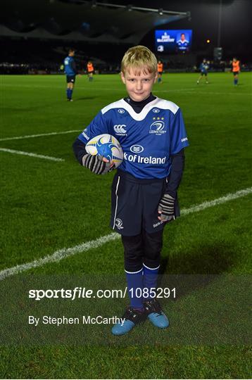 Mascots at Leinster v Ulster - Guinness PRO12 Round 8