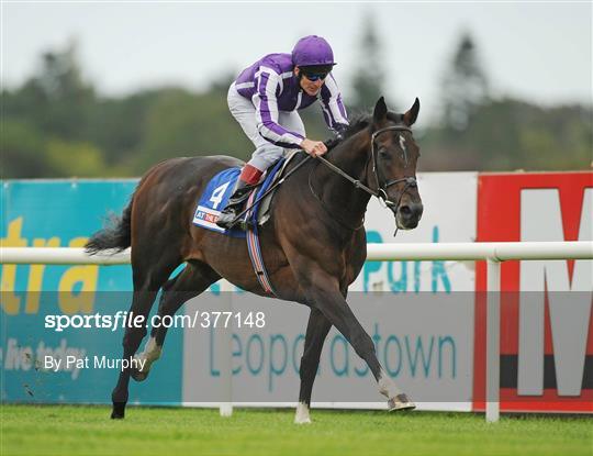 Racing at Leopardstown