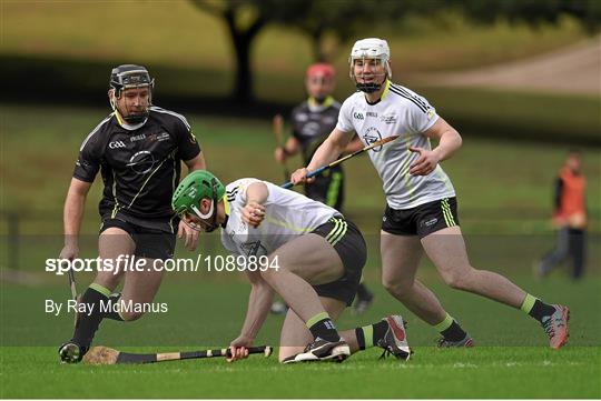 2014 All-Stars v 2015 All-Stars - GAA All-Star Tour 2015, sponsored by Opel