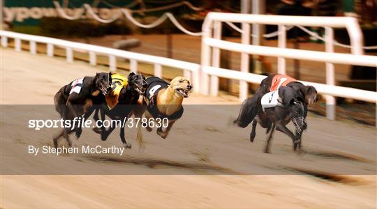 paddypower.com Irish Greyhound Derby