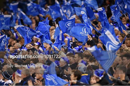 Leinster Fans at Leinster v RC Toulon - European Rugby Champions Cup