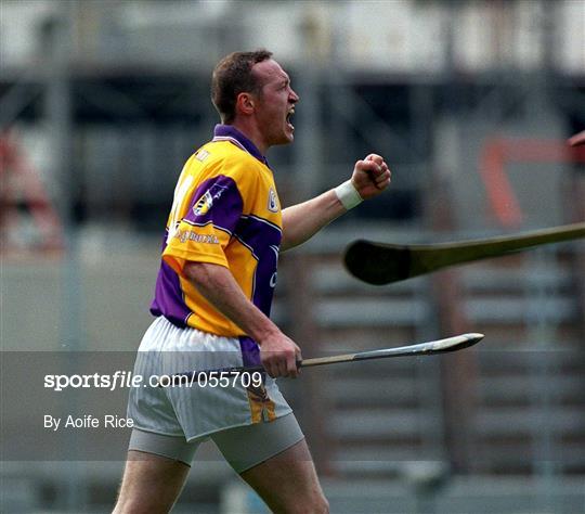 Offaly v Wexford - Guinness Leinster Senior Hurling Championship Semi-Final