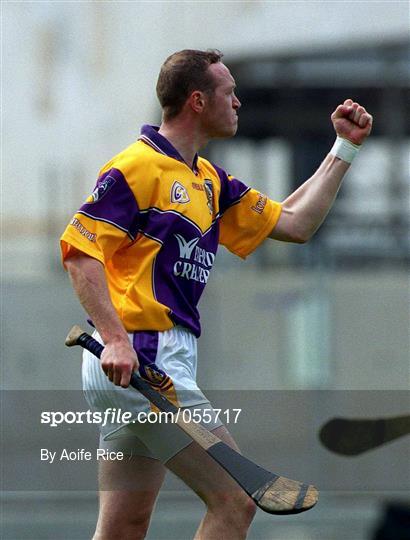 Offaly v Wexford - Guinness Leinster Senior Hurling Championship Semi-Final