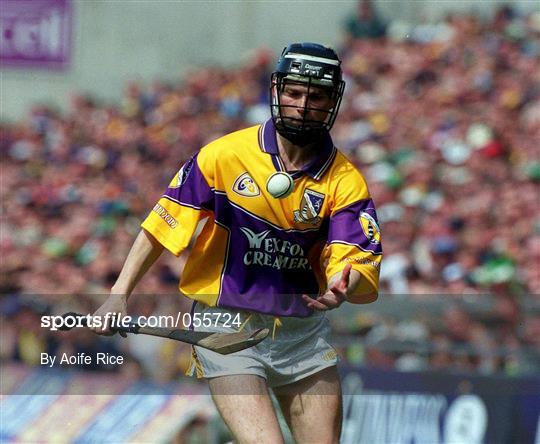 Offaly v Wexford - Guinness Leinster Senior Hurling Championship Semi-Final