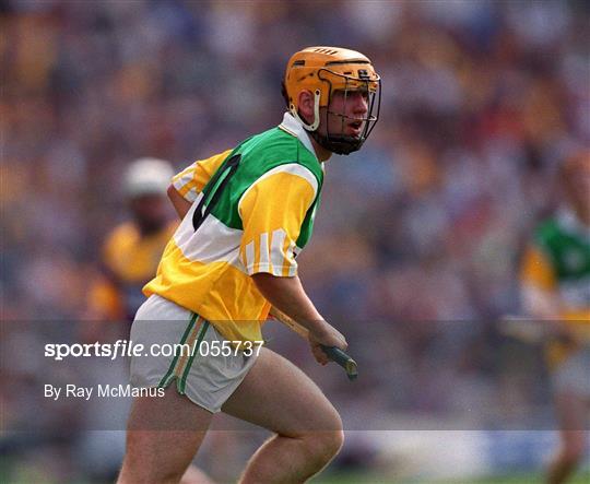 Offaly v Wexford - Guinness Leinster Senior Hurling Championship Semi-Final