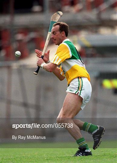 Offaly v Wexford - Guinness Leinster Senior Hurling Championship Semi-Final