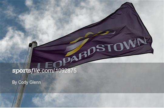 Leopardstown Christmas Racing Festival - Tuesday 29th December