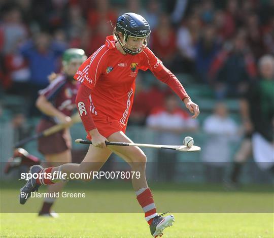 Cork v Galway - Gala All-Ireland Intermediate Camogie Final