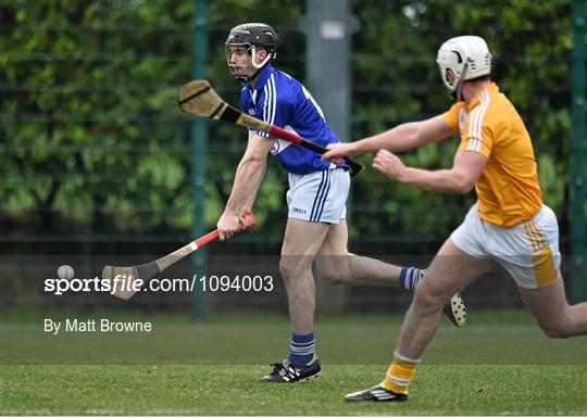 Laois v Antrim - Bord na Mona Walsh Cup Group 2