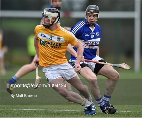 Laois v Antrim - Bord na Mona Walsh Cup Group 2