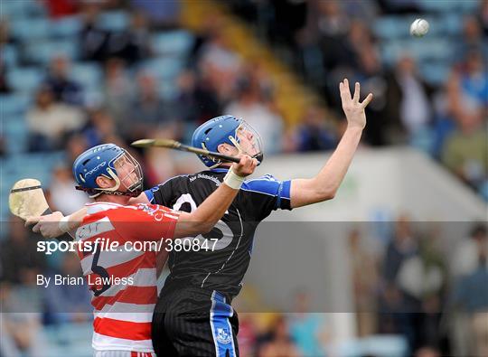 Sarsfields v CIT - Cork County Senior Hurling Semi-Final