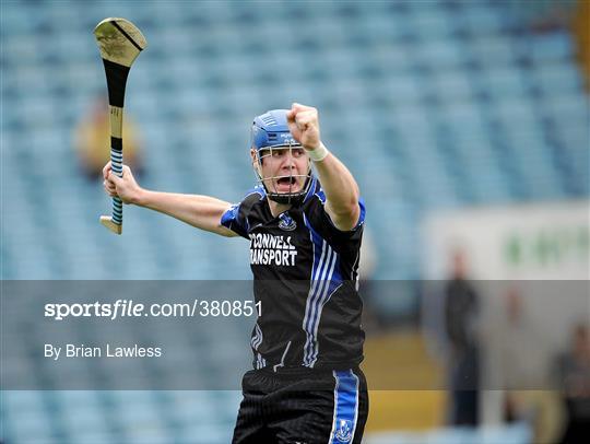 Sarsfields v CIT - Cork County Senior Hurling Semi-Final