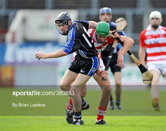 Sarsfields v CIT - Cork County Senior Hurling Semi-Final