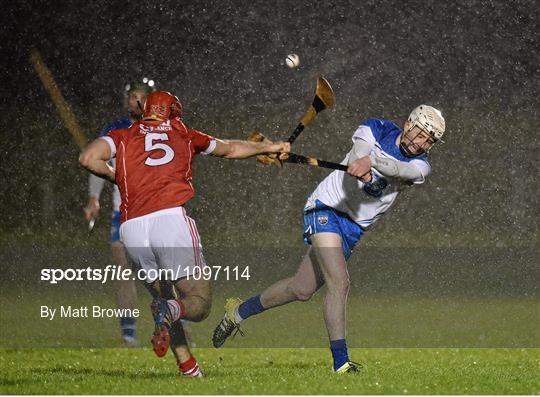 Cork v Waterford - Munster Senior Hurling League Round 3