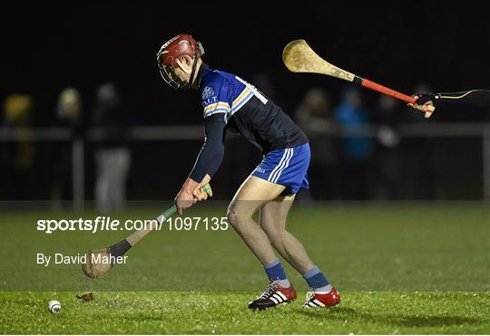 Kilkenny v DIT - Bord na Mona Walsh Cup Group 1