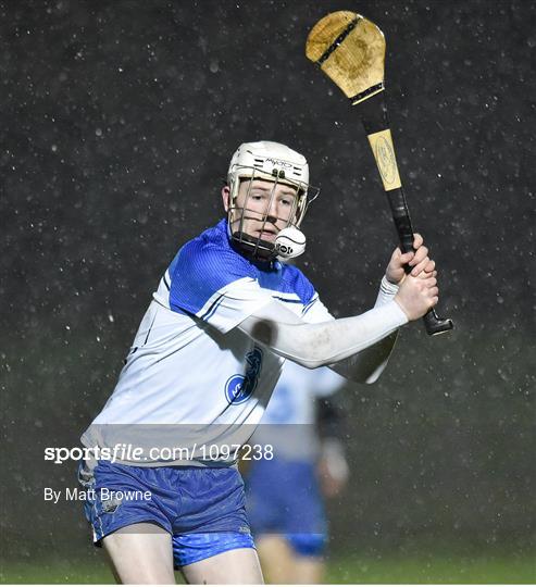 Cork v Wateford - Munster Senior Hurling League Round 3