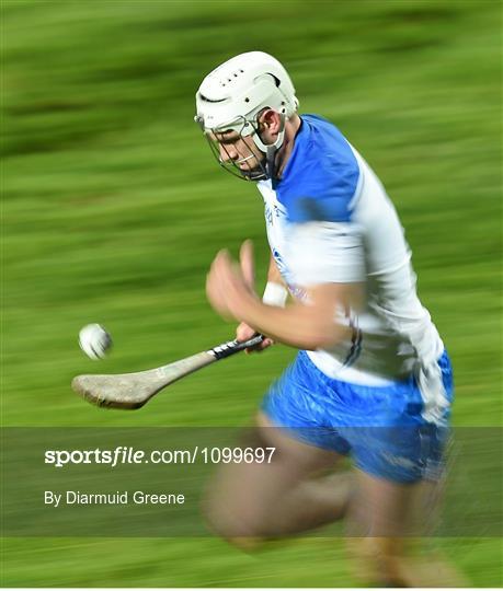 Waterford v Limerick - Munster Senior Hurling League Round 2 Refixture