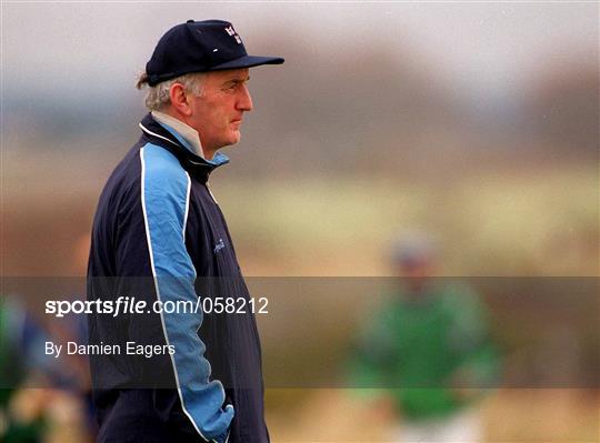 Dublin Hurling Training Session