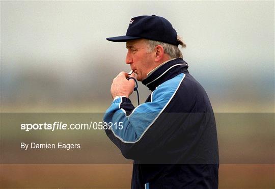 Dublin Hurling Training Session