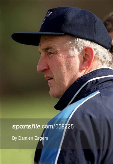 Dublin Hurling Training Session