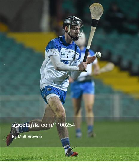 Waterford v Limerick - Munster Senior Hurling League Round 2 Refixture