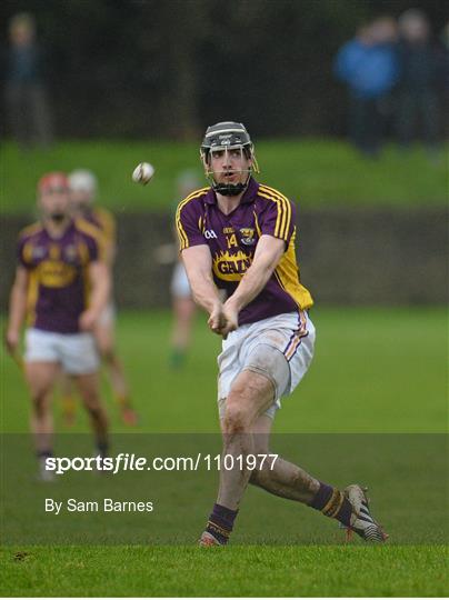 Wexford v Offaly - Bord na Mona Walsh Cup Semi-Final