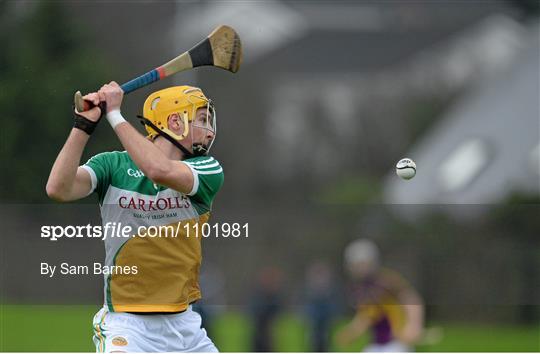 Wexford v Offaly - Bord na Mona Walsh Cup Semi-Final