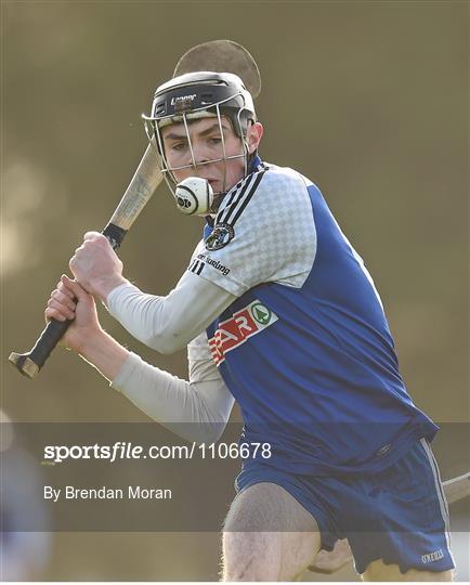 St Pat’s-Mater Dei v IT Carlow - Independent.ie HE GAA Fitzgibbon Cup Group B Round 2