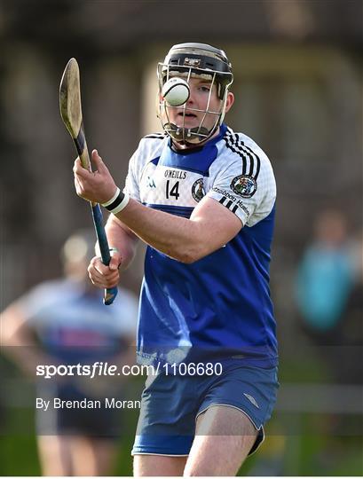 St Pat’s-Mater Dei v IT Carlow - Independent.ie HE GAA Fitzgibbon Cup Group B Round 2