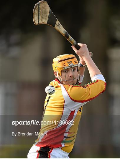 St Pat’s-Mater Dei v IT Carlow - Independent.ie HE GAA Fitzgibbon Cup Group B Round 2