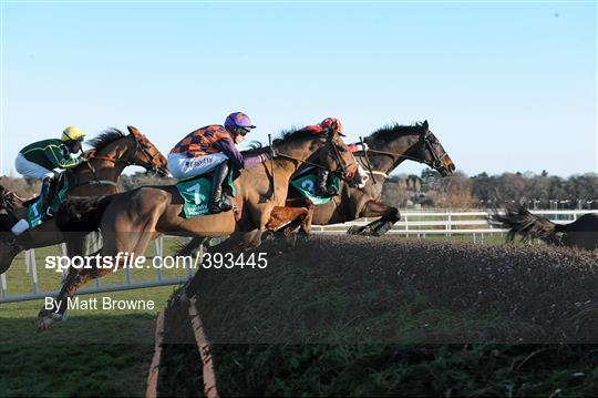 Leopardstown Christmas Racing Festival 2009 - Sunday