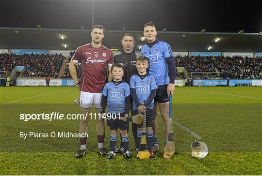 Mascots at the Dublin v Galway match - Allianz Hurling League Division 1A Round 2