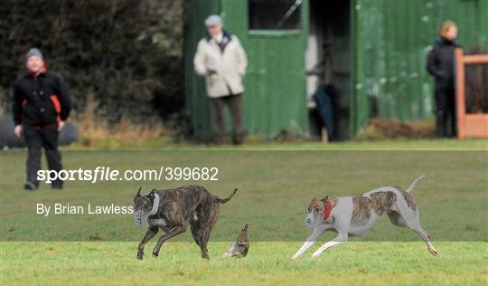 85th National Coursing Meeting - Wednesday