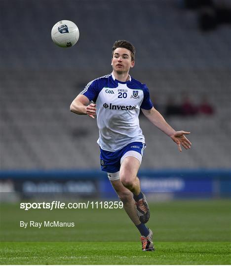 Dublin v Monaghan - Allianz Football League Division 1 Round 3