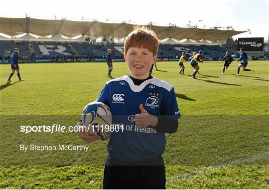 Mascots at Leinster v Ospreys - Guinness PRO12 Round 17