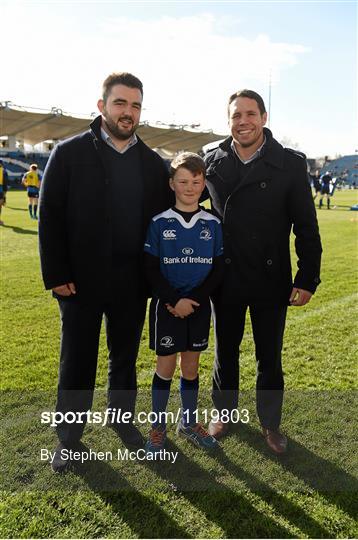 Mascots at Leinster v Ospreys - Guinness PRO12 Round 17