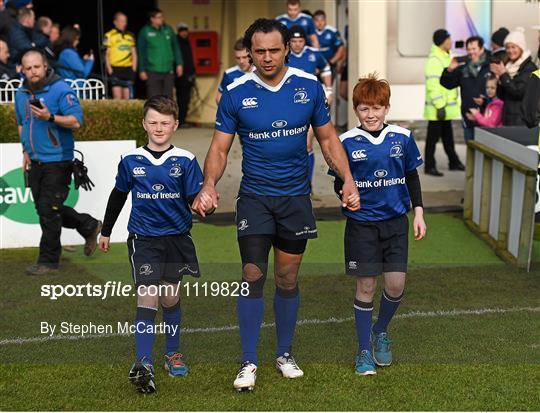 Mascots at Leinster v Ospreys - Guinness PRO12 Round 17