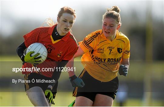 Holy Rosary College Mountbellew, Galway v John The Baptist CS, Limerick - Lidl All Ireland Senior B Post Primary Schools Championship Final