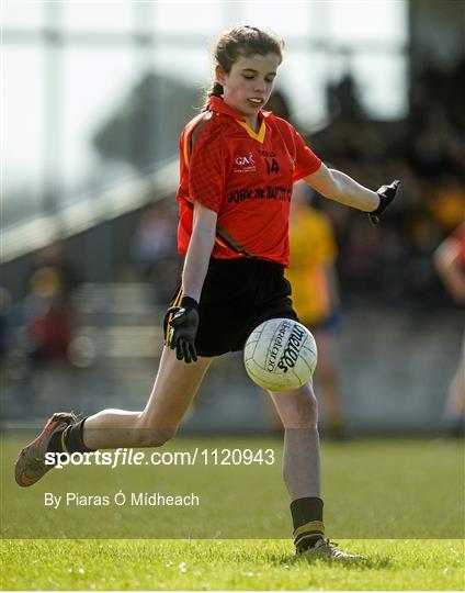 Holy Rosary College Mountbellew, Galway v John The Baptist CS, Limerick - Lidl All Ireland Senior B Post Primary Schools Championship Final