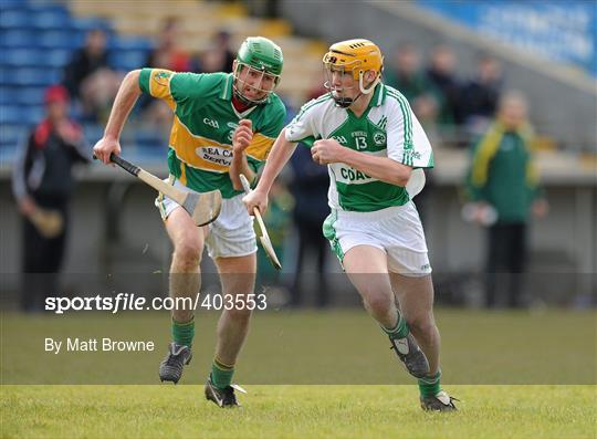 Newtownshandrum v Ballyhale Shamrocks - AIB GAA Hurling All-Ireland Senior Club Championship Semi-Final