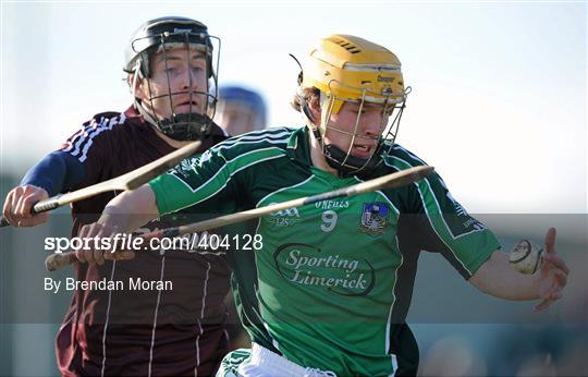 Limerick v Galway - Allianz GAA Hurling National League Division 1 Round 1