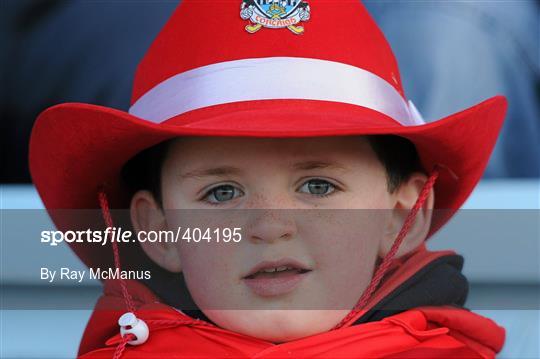 Cork v Offaly - Allianz GAA Hurling National League Division 1 Round 1