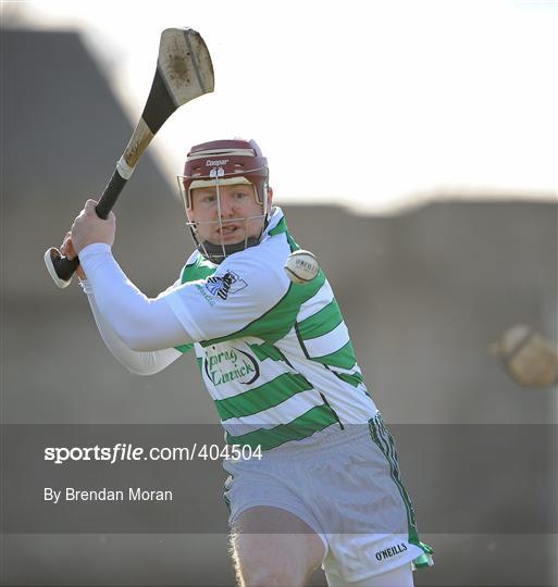 Limerick v Galway - Allianz GAA Hurling National League Division 1 Round 1