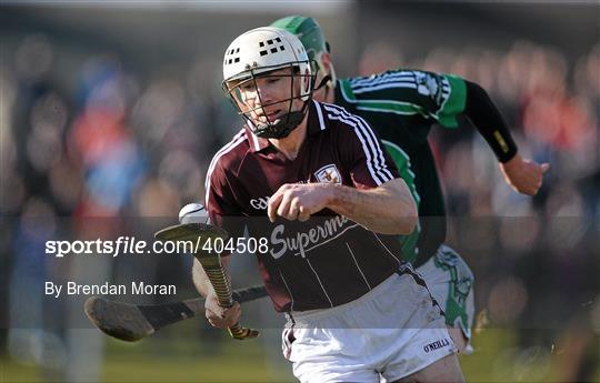 Limerick v Galway - Allianz GAA Hurling National League Division 1 Round 1