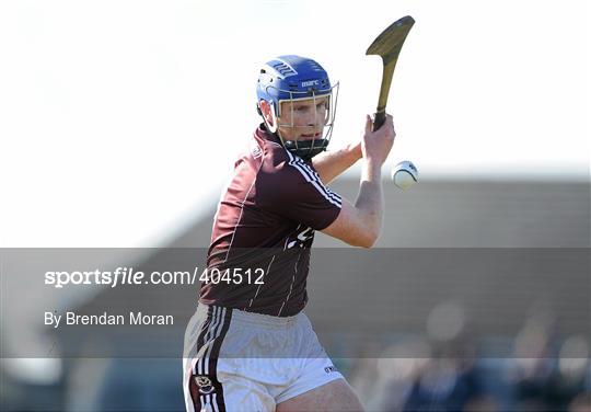 Limerick v Galway - Allianz GAA Hurling National League Division 1 Round 1