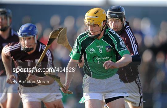 Limerick v Galway - Allianz GAA Hurling National League Division 1 Round 1