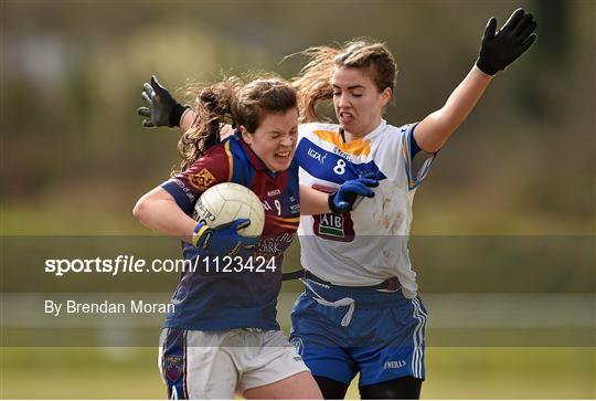 University of Limerick v Dublin Institute of Technology - Lynch Cup Final 2016